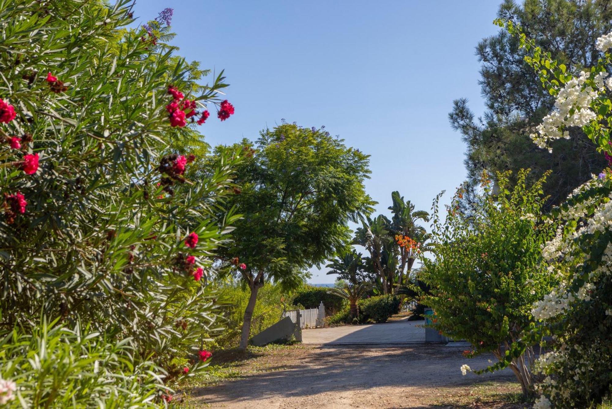 Ayia Napa Sycamore Seaview Ngoại thất bức ảnh