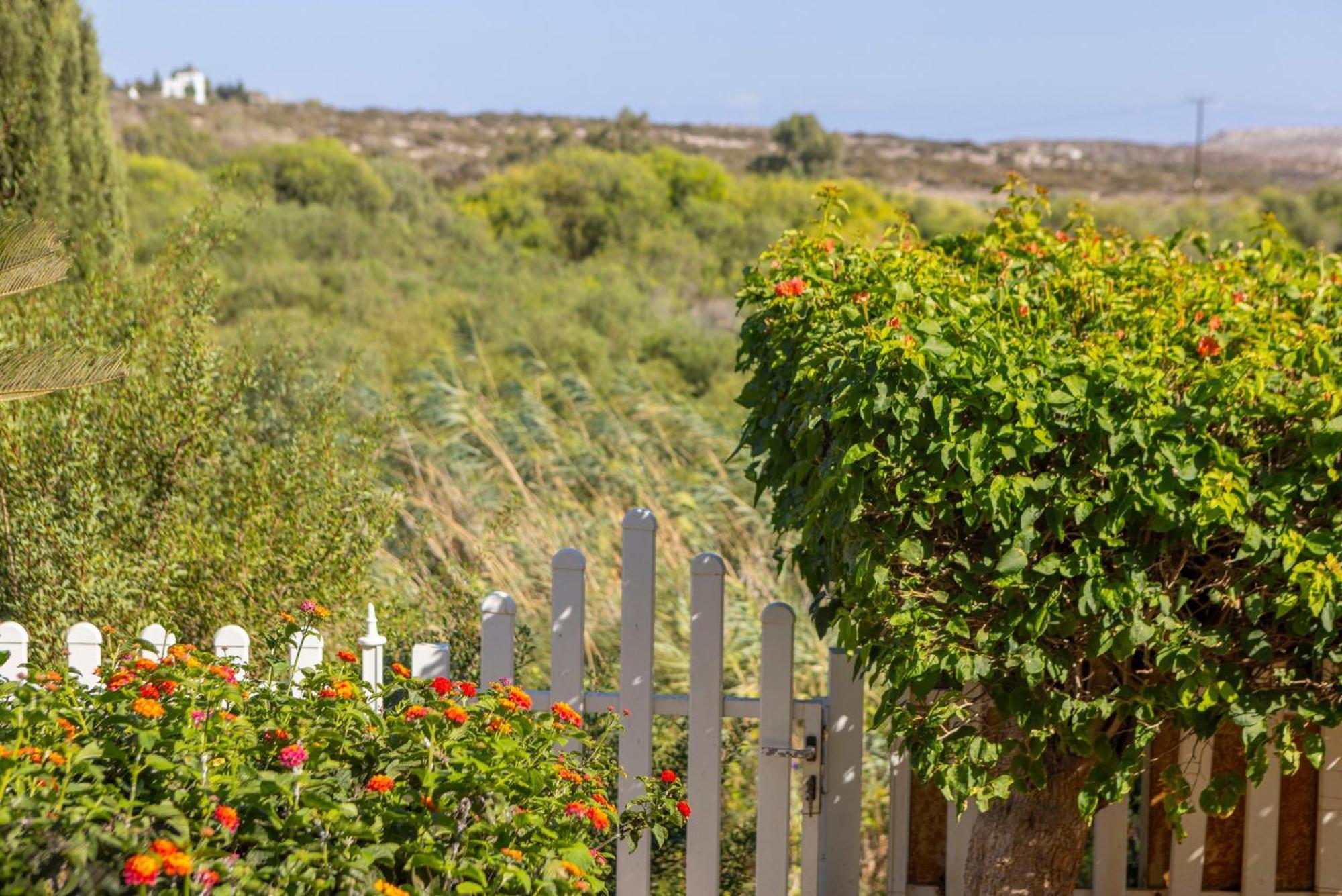 Ayia Napa Sycamore Seaview Ngoại thất bức ảnh